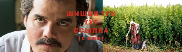 шишки Пестово