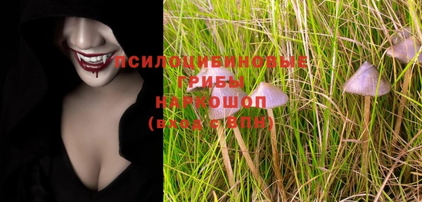 ECSTASY Белокуриха