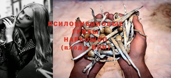 эйфоретик Белоозёрский