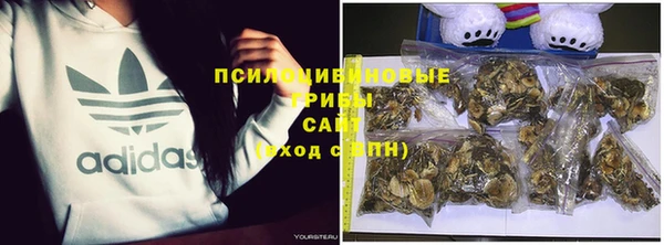 ECSTASY Белокуриха