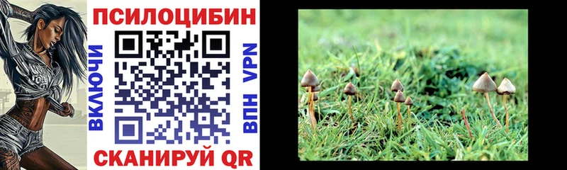 Галлюциногенные грибы мицелий  Краснослободск 